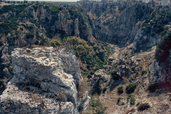 Nature, Italy, region of Puglia 1975 Gravina di Castellaneta.