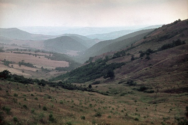 Nature, Italy, region of Puglia 1975 Valle del Celone (Celone Valley).