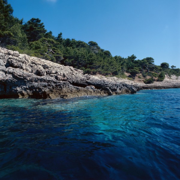 Nature, Italy, region of Puglia 1975 Isole Tremiti (Tremiti islands).