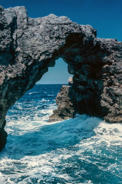 Nature, Italy, region of Puglia 1975 Isole Tremiti (Tremiti islands).