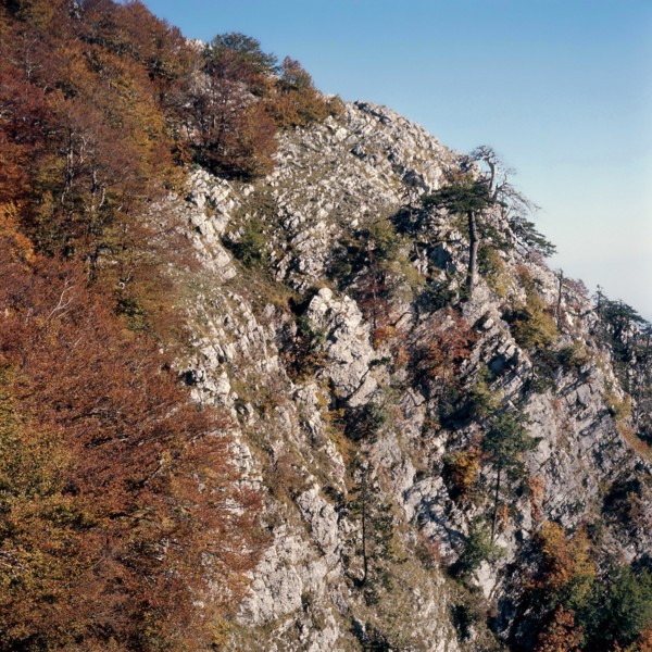 Nature, Italy, region of Calabria 1975 Comprensorio del Pollino - Monte Pollino (Pollino