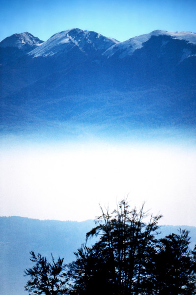 Nature, Italy, region of Calabria 1975 Comprensorio del Pollino - Monte Pollino (Pollino