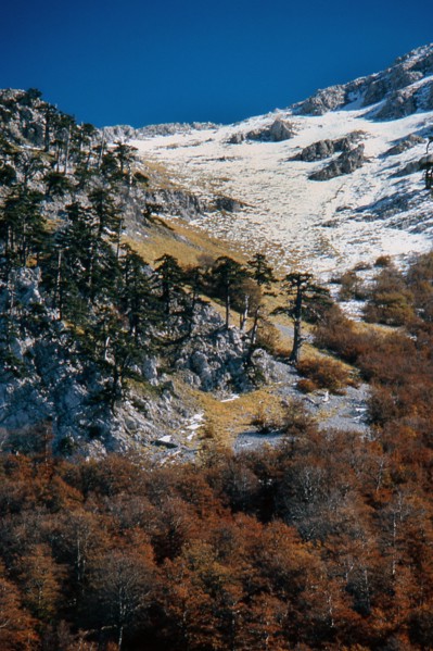 Nature, Italy, region of Calabria 1975 Comprensorio del Pollino - Monte Pollino (Pollino