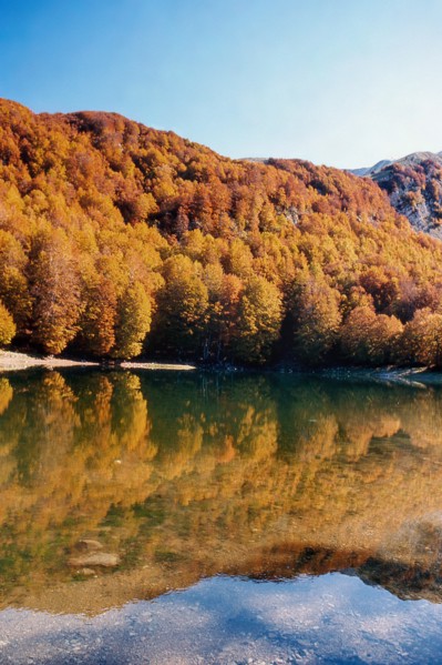Nature, Italy, region of Calabria 1975 Comprensorio del Pollino - Monte Pollino (Pollino