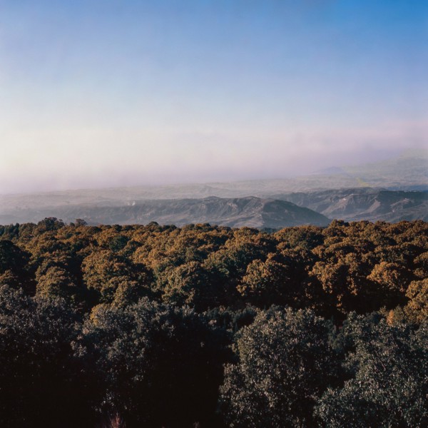 Nature, Italy, region of Calabria 1975 Sila Piccola (Little Sila).