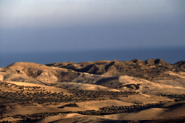 Nature, Italy, region of Calabria Marchesato Crotonese.