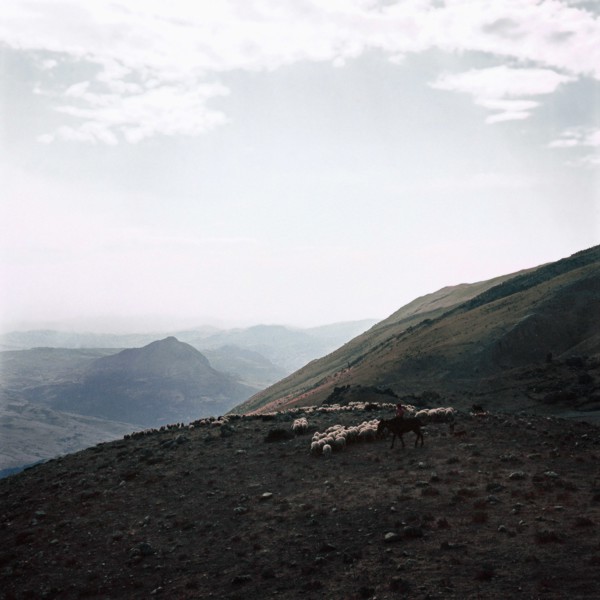 Nature, Italy, region of Sicilia 1975 Le Madonie (Tne Madonie).