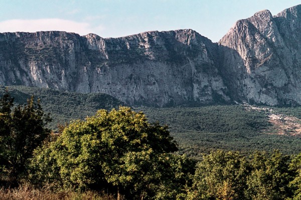Nature, Italy, region of Sicilia 1975 Rocca Busambra - Bosco della Ficuzza (Busambra Rock - Ficuzza