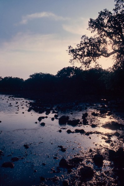 Nature, Italy, region of Sardegna 1975 Giara di Gesturi ""Sa Jara Manna"" (Giara Park).