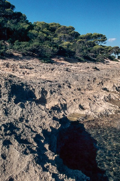 Nature, Italy, region of Sardegna 1975 Capo Teulada - Porto Pino (Teulada Cape - Porto Pino).