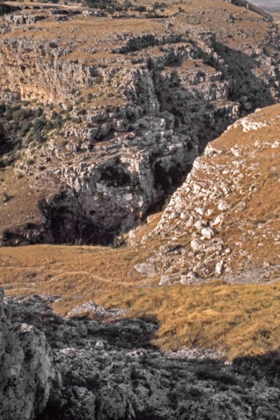 Nature, Italy, region of Puglia-Basilicata 1975 Gravina di Matera.