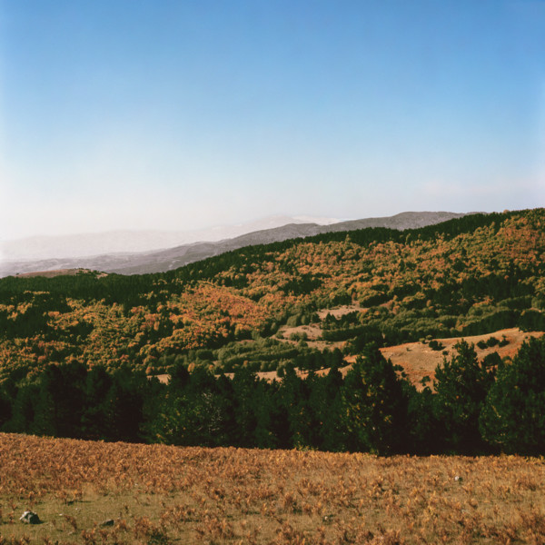 Nature, Italy, region of Calabria 1975 Sila Piccola (Little Sila).