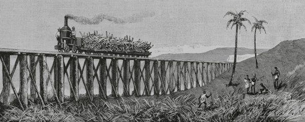 Mackay, Australia. Eastern coast of Queensland. Sugar cane production. Steam train for transporting