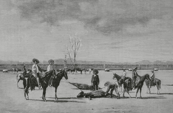 Mexico. Castration of calves on a ranch. Engraving. The Spanish and American Illustration (La
