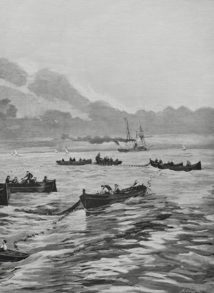 Spain. Sardine fishing off the Galician coast. Drawing by A. de Caula. Engraving by Arturo