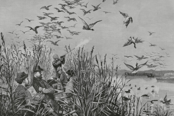 History of Spain. Royal hunt in the Daimiel lagoons. King Alfonso XII (1857-1885) in the act of