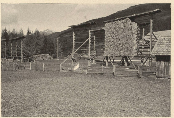 Drying frames