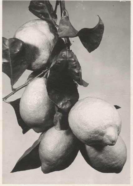 Lemons