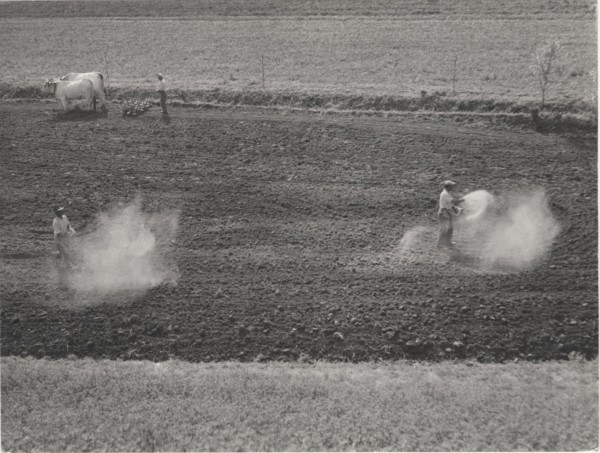 Planting season