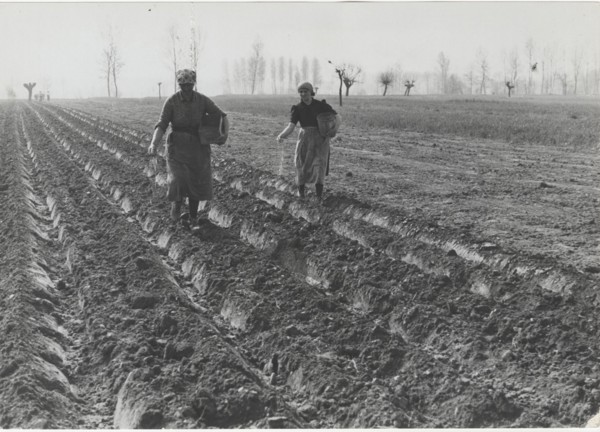 Planting season