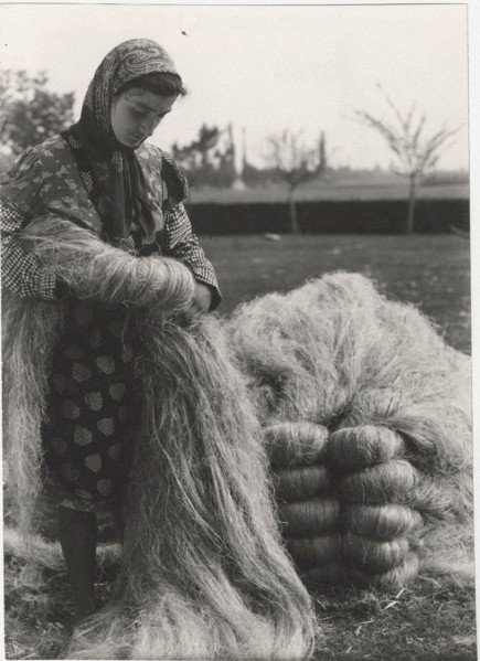 Hemp processing