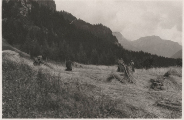 Harvesting