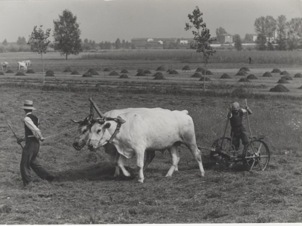 Harvesting