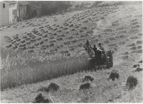 Harvesting