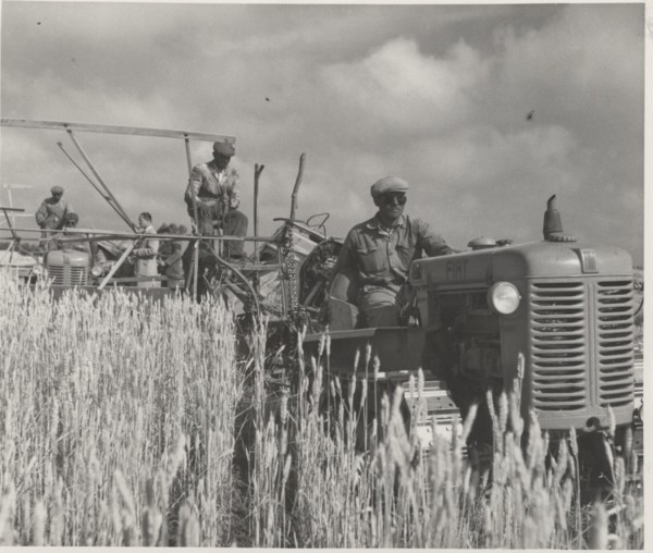 Harvesting