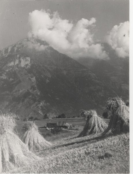 Hay bales in Sauze d'Oulx