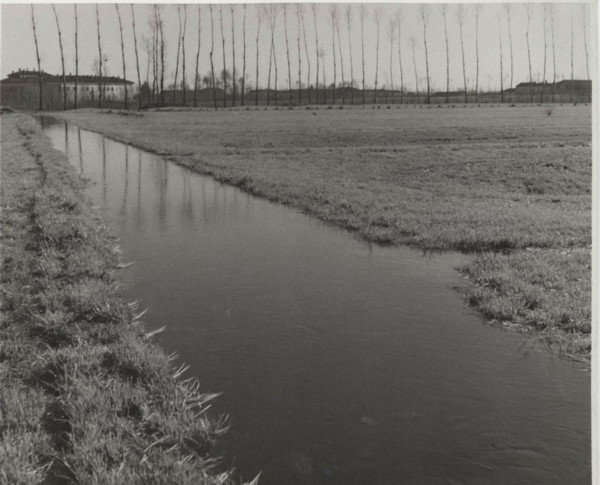 A ditch irrigating a field