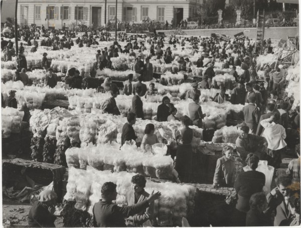 Flower market in Sanremo