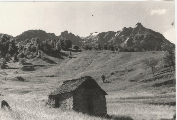 Mountain pasture