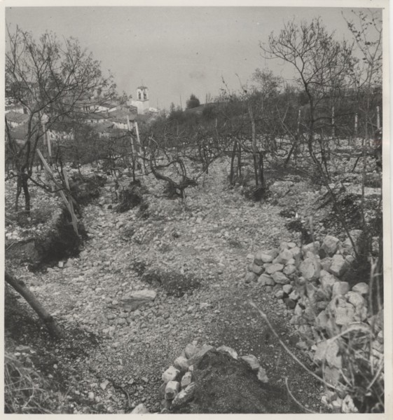 Alluvial landslide