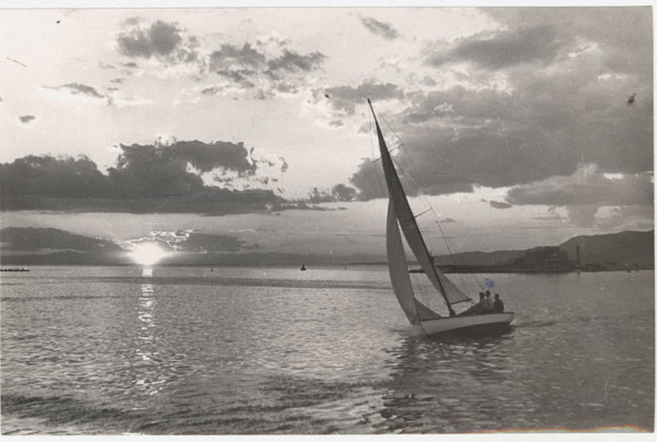 Gulf of Trieste