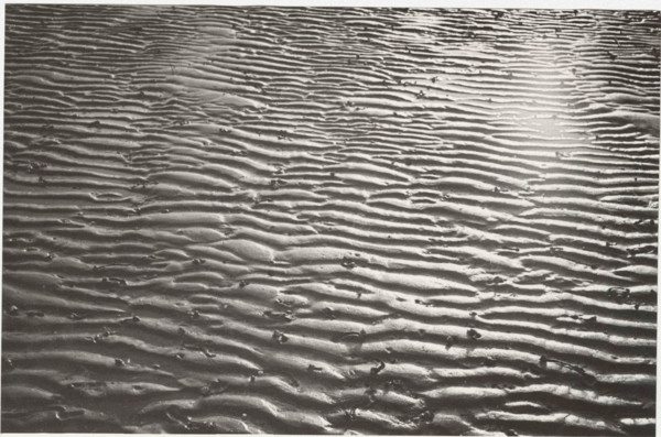 Low tide on Marina di Ravenna beach