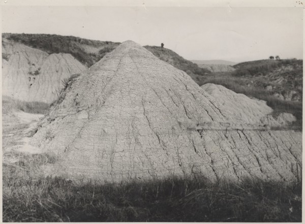 Pliocene clays