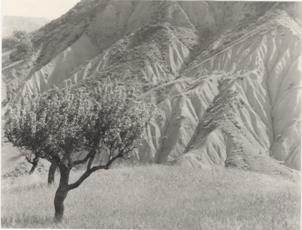Badlands. Rocca Imperiale, Italy,