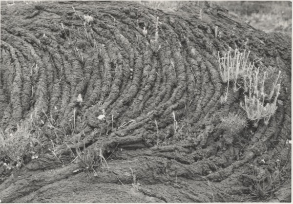 Lava flow on Vesuvius slopes