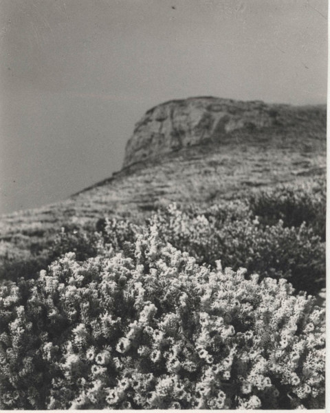 Frost on Monte Nevoso