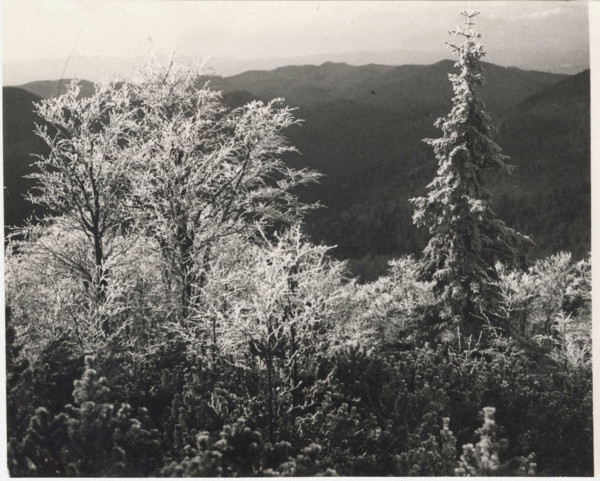 Frost on Monte Nevoso