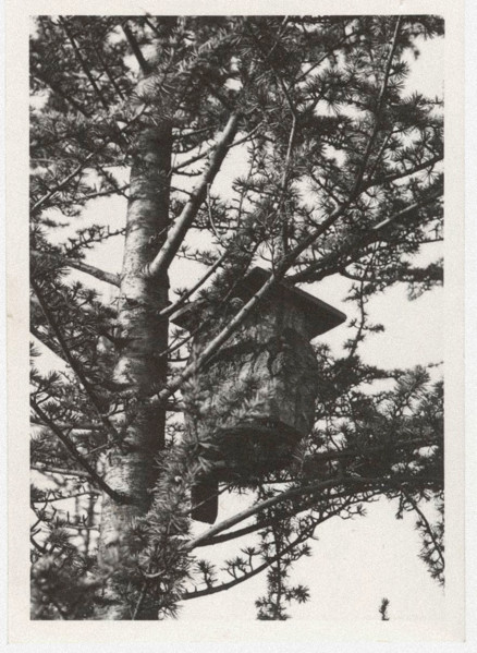 Artificial bird nest