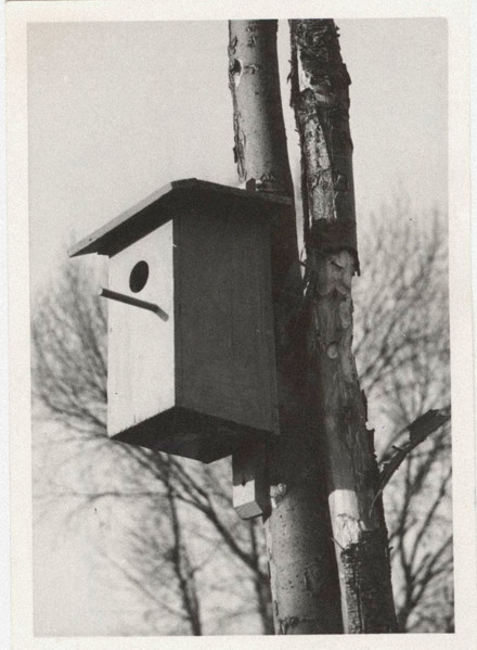 A net box
