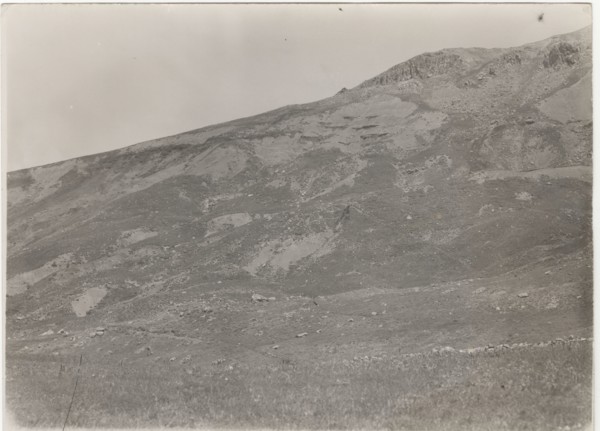 Petralia Sottana, the fields after deforestation works
