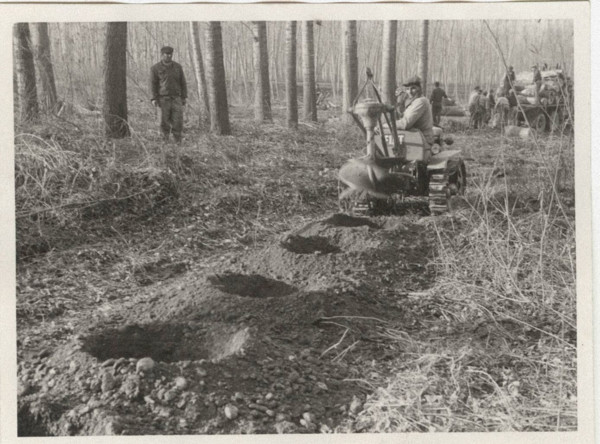 Arboricolture drills digging holes
