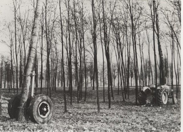Deforestation with a cradle truck