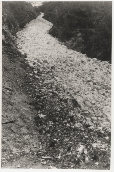 Avalanche in Bruffiore valley