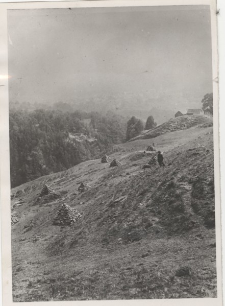 Land reclamation works the removal of stones and grit from a mountain pasture