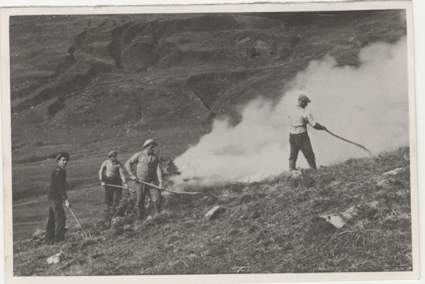 Land reclamation works deforesting a mountain pasture