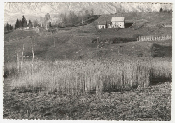 Cadol the marsh before the land reclamation works